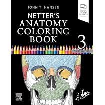 Netter's Anatomy Coloring Book : Hansen PhD, John T.: Amazon.co.za